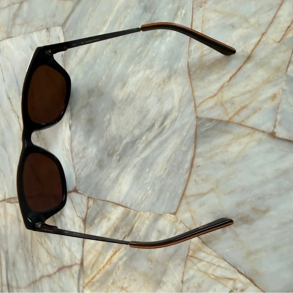 Classic Men's Wayfarer Sunglasses in Dark Brown